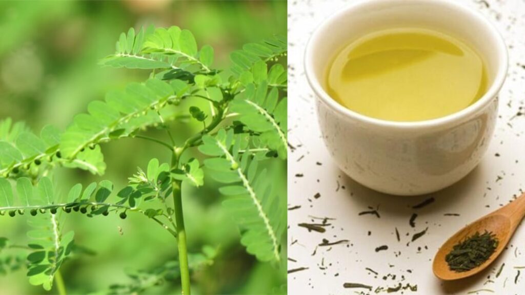 trà diệp hạ châu